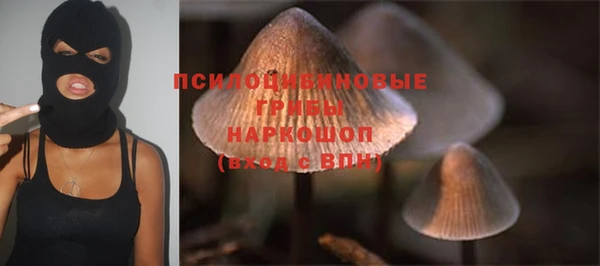 метадон Михайлов