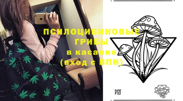 метадон Михайлов